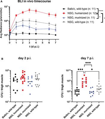 MRSA Infection in the Thigh Muscle Leads to Systemic Disease, Strong Inflammation, and Loss of Human Monocytes in Humanized Mice